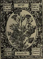 Picture 52 of 56 from Historia unnd Beschreibung Influentischer, Elementischer und Natürlicher Wirckungen, aller fremden unnd heimischen Erdgewechssen : auch irer Subtiliteten, sampt Warhasstiger und künstlicher Conterfeitung derselbigen, auch aller teiler, Innerlicher und eüfferlicher glider am menschlichen Cörper, nebend fürbildung aller zu der Extraction dienstlichen Instrumenten, auch deren gebrauch, und alle zu erhaltung der gesundheit notwendigen Processen gemeiné nutz zu gut / durch Leonhardt Thurneysser zum Tuhrn. (1922), leaf 165