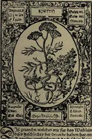 Picture 53 of 56 from Historia unnd Beschreibung Influentischer, Elementischer und Natürlicher Wirckungen, aller fremden unnd heimischen Erdgewechssen : auch irer Subtiliteten, sampt Warhasstiger und künstlicher Conterfeitung derselbigen, auch aller teiler, Innerlicher und eüfferlicher glider am menschlichen Cörper, nebend fürbildung aller zu der Extraction dienstlichen Instrumenten, auch deren gebrauch, und alle zu erhaltung der gesundheit notwendigen Processen gemeiné nutz zu gut / durch Leonhardt Thurneysser zum Tuhrn. (1922), leaf 169