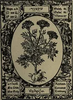 Picture 55 of 56 from Historia unnd Beschreibung Influentischer, Elementischer und Natürlicher Wirckungen, aller fremden unnd heimischen Erdgewechssen : auch irer Subtiliteten, sampt Warhasstiger und künstlicher Conterfeitung derselbigen, auch aller teiler, Innerlicher und eüfferlicher glider am menschlichen Cörper, nebend fürbildung aller zu der Extraction dienstlichen Instrumenten, auch deren gebrauch, und alle zu erhaltung der gesundheit notwendigen Processen gemeiné nutz zu gut / durch Leonhardt Thurneysser zum Tuhrn. (1922), leaf 173