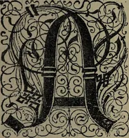 An illustration from Historia unnd Beschreibung Influentischer, Elementischer und Natürlicher Wirckungen, aller fremden unnd heimischen Erdgewechssen : auch irer Subtiliteten, sampt Warhasstiger und künstlicher Conterfeitung derselbigen, auch aller teiler, Innerlicher und eüfferlicher glider am menschlichen Cörper, nebend fürbildung aller zu der Extraction dienstlichen Instrumenten, auch deren gebrauch, und alle zu erhaltung der gesundheit notwendigen Processen gemeiné nutz zu gut / durch Leonhardt Thurneysser zum Tuhrn. (1922)