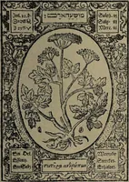 Picture 8 of 56 from Historia unnd Beschreibung Influentischer, Elementischer und Natürlicher Wirckungen, aller fremden unnd heimischen Erdgewechssen : auch irer Subtiliteten, sampt Warhasstiger und künstlicher Conterfeitung derselbigen, auch aller teiler, Innerlicher und eüfferlicher glider am menschlichen Cörper, nebend fürbildung aller zu der Extraction dienstlichen Instrumenten, auch deren gebrauch, und alle zu erhaltung der gesundheit notwendigen Processen gemeiné nutz zu gut / durch Leonhardt Thurneysser zum Tuhrn. (1922), leaf 21