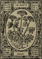 Picture 10 of 56 from Historia unnd Beschreibung Influentischer, Elementischer und Natürlicher Wirckungen, aller fremden unnd heimischen Erdgewechssen : auch irer Subtiliteten, sampt Warhasstiger und künstlicher Conterfeitung derselbigen, auch aller teiler, Innerlicher und eüfferlicher glider am menschlichen Cörper, nebend fürbildung aller zu der Extraction dienstlichen Instrumenten, auch deren gebrauch, und alle zu erhaltung der gesundheit notwendigen Processen gemeiné nutz zu gut / durch Leonhardt Thurneysser zum Tuhrn. (1922), leaf 28