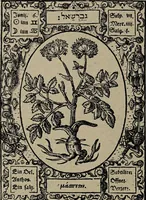 Picture 13 of 56 from Historia unnd Beschreibung Influentischer, Elementischer und Natürlicher Wirckungen, aller fremden unnd heimischen Erdgewechssen : auch irer Subtiliteten, sampt Warhasstiger und künstlicher Conterfeitung derselbigen, auch aller teiler, Innerlicher und eüfferlicher glider am menschlichen Cörper, nebend fürbildung aller zu der Extraction dienstlichen Instrumenten, auch deren gebrauch, und alle zu erhaltung der gesundheit notwendigen Processen gemeiné nutz zu gut / durch Leonhardt Thurneysser zum Tuhrn. (1922), leaf 42
