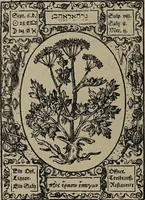 An illustration from Historia unnd Beschreibung Influentischer, Elementischer und Natürlicher Wirckungen, aller fremden unnd heimischen Erdgewechssen : auch irer Subtiliteten, sampt Warhasstiger und künstlicher Conterfeitung derselbigen, auch aller teiler, Innerlicher und eüfferlicher glider am menschlichen Cörper, nebend fürbildung aller zu der Extraction dienstlichen Instrumenten, auch deren gebrauch, und alle zu erhaltung der gesundheit notwendigen Processen gemeiné nutz zu gut / durch Leonhardt Thurneysser zum Tuhrn. (1922)