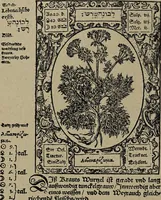 An illustration from Historia unnd Beschreibung Influentischer, Elementischer und Natürlicher Wirckungen, aller fremden unnd heimischen Erdgewechssen : auch irer Subtiliteten, sampt Warhasstiger und künstlicher Conterfeitung derselbigen, auch aller teiler, Innerlicher und eüfferlicher glider am menschlichen Cörper, nebend fürbildung aller zu der Extraction dienstlichen Instrumenten, auch deren gebrauch, und alle zu erhaltung der gesundheit notwendigen Processen gemeiné nutz zu gut / durch Leonhardt Thurneysser zum Tuhrn. (1922)