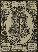 Picture 17 of 56 from Historia unnd Beschreibung Influentischer, Elementischer und Natürlicher Wirckungen, aller fremden unnd heimischen Erdgewechssen : auch irer Subtiliteten, sampt Warhasstiger und künstlicher Conterfeitung derselbigen, auch aller teiler, Innerlicher und eüfferlicher glider am menschlichen Cörper, nebend fürbildung aller zu der Extraction dienstlichen Instrumenten, auch deren gebrauch, und alle zu erhaltung der gesundheit notwendigen Processen gemeiné nutz zu gut / durch Leonhardt Thurneysser zum Tuhrn. (1922), leaf 54