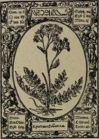 Picture 20 of 56 from Historia unnd Beschreibung Influentischer, Elementischer und Natürlicher Wirckungen, aller fremden unnd heimischen Erdgewechssen : auch irer Subtiliteten, sampt Warhasstiger und künstlicher Conterfeitung derselbigen, auch aller teiler, Innerlicher und eüfferlicher glider am menschlichen Cörper, nebend fürbildung aller zu der Extraction dienstlichen Instrumenten, auch deren gebrauch, und alle zu erhaltung der gesundheit notwendigen Processen gemeiné nutz zu gut / durch Leonhardt Thurneysser zum Tuhrn. (1922), leaf 62