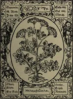 Picture 23 of 56 from Historia unnd Beschreibung Influentischer, Elementischer und Natürlicher Wirckungen, aller fremden unnd heimischen Erdgewechssen : auch irer Subtiliteten, sampt Warhasstiger und künstlicher Conterfeitung derselbigen, auch aller teiler, Innerlicher und eüfferlicher glider am menschlichen Cörper, nebend fürbildung aller zu der Extraction dienstlichen Instrumenten, auch deren gebrauch, und alle zu erhaltung der gesundheit notwendigen Processen gemeiné nutz zu gut / durch Leonhardt Thurneysser zum Tuhrn. (1922), leaf 71