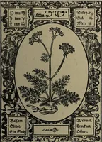 Picture 25 of 56 from Historia unnd Beschreibung Influentischer, Elementischer und Natürlicher Wirckungen, aller fremden unnd heimischen Erdgewechssen : auch irer Subtiliteten, sampt Warhasstiger und künstlicher Conterfeitung derselbigen, auch aller teiler, Innerlicher und eüfferlicher glider am menschlichen Cörper, nebend fürbildung aller zu der Extraction dienstlichen Instrumenten, auch deren gebrauch, und alle zu erhaltung der gesundheit notwendigen Processen gemeiné nutz zu gut / durch Leonhardt Thurneysser zum Tuhrn. (1922), leaf 79
