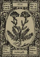 Picture 26 of 56 from Historia unnd Beschreibung Influentischer, Elementischer und Natürlicher Wirckungen, aller fremden unnd heimischen Erdgewechssen : auch irer Subtiliteten, sampt Warhasstiger und künstlicher Conterfeitung derselbigen, auch aller teiler, Innerlicher und eüfferlicher glider am menschlichen Cörper, nebend fürbildung aller zu der Extraction dienstlichen Instrumenten, auch deren gebrauch, und alle zu erhaltung der gesundheit notwendigen Processen gemeiné nutz zu gut / durch Leonhardt Thurneysser zum Tuhrn. (1922), leaf 82