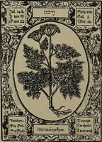 Picture 28 of 56 from Historia unnd Beschreibung Influentischer, Elementischer und Natürlicher Wirckungen, aller fremden unnd heimischen Erdgewechssen : auch irer Subtiliteten, sampt Warhasstiger und künstlicher Conterfeitung derselbigen, auch aller teiler, Innerlicher und eüfferlicher glider am menschlichen Cörper, nebend fürbildung aller zu der Extraction dienstlichen Instrumenten, auch deren gebrauch, und alle zu erhaltung der gesundheit notwendigen Processen gemeiné nutz zu gut / durch Leonhardt Thurneysser zum Tuhrn. (1922), leaf 86