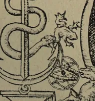 An illustration from Historia unnd Beschreibung Influentischer, Elementischer und Natürlicher Wirckungen, aller fremden unnd heimischen Erdgewechssen : auch irer Subtiliteten, sampt Warhasstiger und künstlicher Conterfeitung derselbigen, auch aller teiler, Innerlicher und eüfferlicher glider am menschlichen Cörper, nebend fürbildung aller zu der Extraction dienstlichen Instrumenten, auch deren gebrauch, und alle zu erhaltung der gesundheit notwendigen Processen gemeiné nutz zu gut / durch Leonhardt Thurneysser zum Tuhrn. (1922)