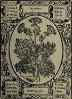 An illustration from Historia unnd Beschreibung Influentischer, Elementischer und Natürlicher Wirckungen, aller fremden unnd heimischen Erdgewechssen : auch irer Subtiliteten, sampt Warhasstiger und künstlicher Conterfeitung derselbigen, auch aller teiler, Innerlicher und eüfferlicher glider am menschlichen Cörper, nebend fürbildung aller zu der Extraction dienstlichen Instrumenten, auch deren gebrauch, und alle zu erhaltung der gesundheit notwendigen Processen gemeiné nutz zu gut / durch Leonhardt Thurneysser zum Tuhrn. (1922)