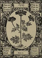 Picture 32 of 56 from Historia unnd Beschreibung Influentischer, Elementischer und Natürlicher Wirckungen, aller fremden unnd heimischen Erdgewechssen : auch irer Subtiliteten, sampt Warhasstiger und künstlicher Conterfeitung derselbigen, auch aller teiler, Innerlicher und eüfferlicher glider am menschlichen Cörper, nebend fürbildung aller zu der Extraction dienstlichen Instrumenten, auch deren gebrauch, und alle zu erhaltung der gesundheit notwendigen Processen gemeiné nutz zu gut / durch Leonhardt Thurneysser zum Tuhrn. (1922), leaf 98