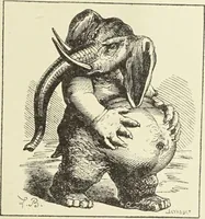 Picture 122 of 351 from Le musée des sorciers : mages et alchemistes / par Grillot de Givry. (1929), leaf 161