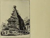 Picture 137 of 351 from Le musée des sorciers : mages et alchemistes / par Grillot de Givry. (1929), leaf 178
