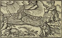Picture 153 of 351 from Le musée des sorciers : mages et alchemistes / par Grillot de Givry. (1929), leaf 208