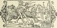 Picture 169 of 351 from Le musée des sorciers : mages et alchemistes / par Grillot de Givry. (1929), leaf 231