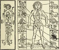 Picture 204 of 351 from Le musée des sorciers : mages et alchemistes / par Grillot de Givry. (1929), leaf 287