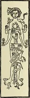 Picture 205 of 351 from Le musée des sorciers : mages et alchemistes / par Grillot de Givry. (1929), leaf 287