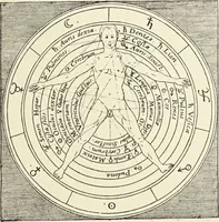 Picture 207 of 351 from Le musée des sorciers : mages et alchemistes / par Grillot de Givry. (1929), leaf 289