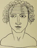 Picture 214 of 351 from Le musée des sorciers : mages et alchemistes / par Grillot de Givry. (1929), leaf 296