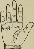 Picture 254 of 351 from Le musée des sorciers : mages et alchemistes / par Grillot de Givry. (1929), leaf 320
