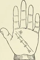 Picture 255 of 351 from Le musée des sorciers : mages et alchemistes / par Grillot de Givry. (1929), leaf 321