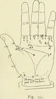 Picture 257 of 351 from Le musée des sorciers : mages et alchemistes / par Grillot de Givry. (1929), leaf 323