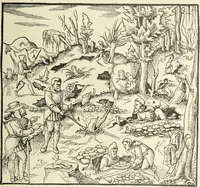 Picture 287 of 351 from Le musée des sorciers : mages et alchemistes / par Grillot de Givry. (1929), leaf 379