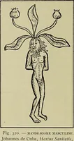 Picture 311 of 351 from Le musée des sorciers : mages et alchemistes / par Grillot de Givry. (1929), leaf 416