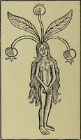 Picture 313 of 351 from Le musée des sorciers : mages et alchemistes / par Grillot de Givry. (1929), leaf 416