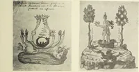 Picture 326 of 351 from Le musée des sorciers : mages et alchemistes / par Grillot de Givry. (1929), leaf 439