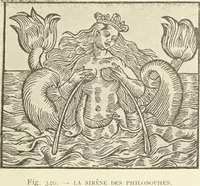 Picture 330 of 351 from Le musée des sorciers : mages et alchemistes / par Grillot de Givry. (1929), leaf 441