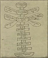 Picture 335 of 351 from Le musée des sorciers : mages et alchemistes / par Grillot de Givry. (1929), leaf 448