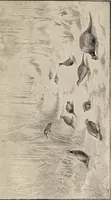 An illustration from British birds / by W.H. Hudson, C.M.Z.S ; with a chapter on structure and classification by Frank E. Beddard, F.R.S. With 8 coloured plates from original drawings by A. Thorburn and 8 plates and 100 figures in black and white from original drawings by G.E. Lodge and 3 illustrations from photographs from nature by R.B. Lodge. New impression. (1921)