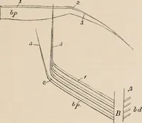 Picture 3 of 123 from British birds / by W.H. Hudson, C.M.Z.S ; with a chapter on structure and classification by Frank E. Beddard, F.R.S. With 8 coloured plates from original drawings by A. Thorburn and 8 plates and 100 figures in black and white from original drawings by G.E. Lodge and 3 illustrations from photographs from nature by R.B. Lodge. New impression. (1921), leaf 31