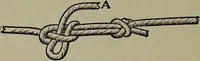 An illustration from American food and game fishes : A popular account of all the species found in America north of the equator / with keys for ready identification, life histories and methods of capture, by David Starr Jordan and Barton Warren Evermann, illustrated with colored plates and text drawings, and with photographs from life by A. Radclyffe Dugmore. (1902)