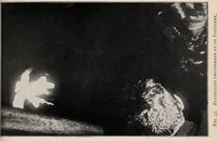 Picture 17 of 127 from Phenomena of materialisation : a contribution to the investigation of mediumistic teleplastics / by Baron von Schrenck Notzing ; translated by E.E. Fournier d'Albe. (1923), leaf 139