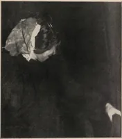 An illustration from Phenomena of materialisation : a contribution to the investigation of mediumistic teleplastics / by Baron von Schrenck Notzing ; translated by E.E. Fournier d'Albe. (1923)