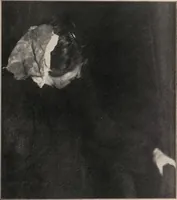 Picture 29 of 127 from Phenomena of materialisation : a contribution to the investigation of mediumistic teleplastics / by Baron von Schrenck Notzing ; translated by E.E. Fournier d'Albe. (1923), leaf 185