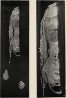 Picture 44 of 127 from Phenomena of materialisation : a contribution to the investigation of mediumistic teleplastics / by Baron von Schrenck Notzing ; translated by E.E. Fournier d'Albe. (1923), leaf 249