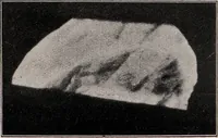 An illustration from Phenomena of materialisation : a contribution to the investigation of mediumistic teleplastics / by Baron von Schrenck Notzing ; translated by E.E. Fournier d'Albe. (1923)