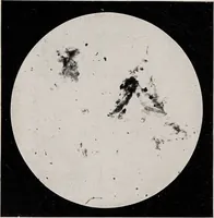 An illustration from Phenomena of materialisation : a contribution to the investigation of mediumistic teleplastics / by Baron von Schrenck Notzing ; translated by E.E. Fournier d'Albe. (1923)