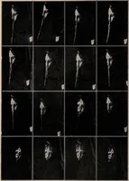 Picture 91 of 127 from Phenomena of materialisation : a contribution to the investigation of mediumistic teleplastics / by Baron von Schrenck Notzing ; translated by E.E. Fournier d'Albe. (1923), leaf 420