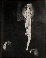 Picture 113 of 127 from Phenomena of materialisation : a contribution to the investigation of mediumistic teleplastics / by Baron von Schrenck Notzing ; translated by E.E. Fournier d'Albe. (1923), leaf 517
