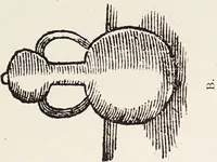 An illustration from Alchemy: ancient and modern : being a brief account of the alchemistic doctrines, and their relations, to mysticism on the one hand, and to recent discoveries in physical science on the other hand ; together with some particulars regarding the lives and teachings of the most noted alchemists / by H. Stanley Redgrove. (1911)