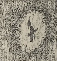 An illustration from A text-book of pathology / by Alfred Stengel ; with 394 illustrations in the text, many of them in colors, and 7 full-page chromolithographic plates. (1903)