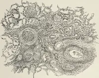 An illustration from A text-book of pathology / by Alfred Stengel ; with 394 illustrations in the text, many of them in colors, and 7 full-page chromolithographic plates. (1903)