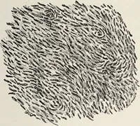 An illustration from A text-book of pathology / by Alfred Stengel ; with 394 illustrations in the text, many of them in colors, and 7 full-page chromolithographic plates. (1903)